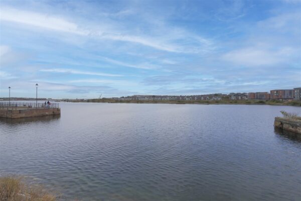 Cei Dafydd, Barry