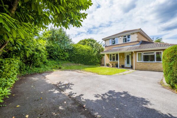 Powderham Drive, Cardiff